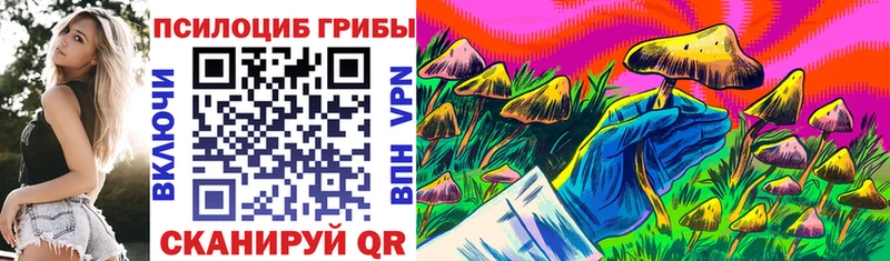 МЕГА маркетплейс  Беломорск  Псилоцибиновые грибы GOLDEN TEACHER 